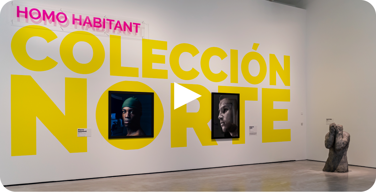 NORTE VIDEO